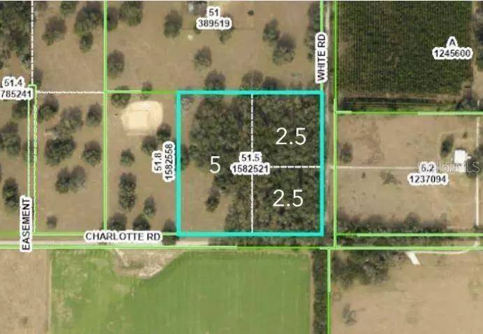 WHITE RD, Brooksville, FL 34602