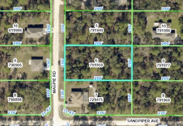 MAGPIE RD, Weeki Wachee, FL 34614