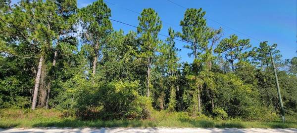 15375 COOT RD, Brooksville, FL 34614