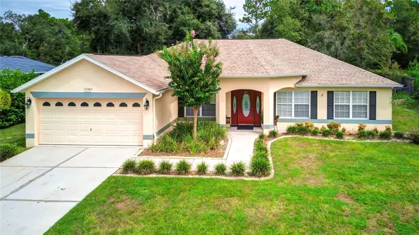 12387 PURPLE SANDPIPER AVE, Weeki Wachee, FL 34614