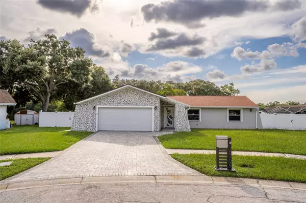 10704 KNOLLSWAY CT, Tampa, FL 33625