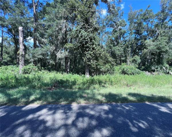 00 NW 90TH CT, Fanning Springs, FL 32693