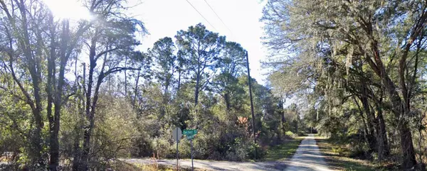 Webster, FL 33597,0 LOT 6 DECKER ST