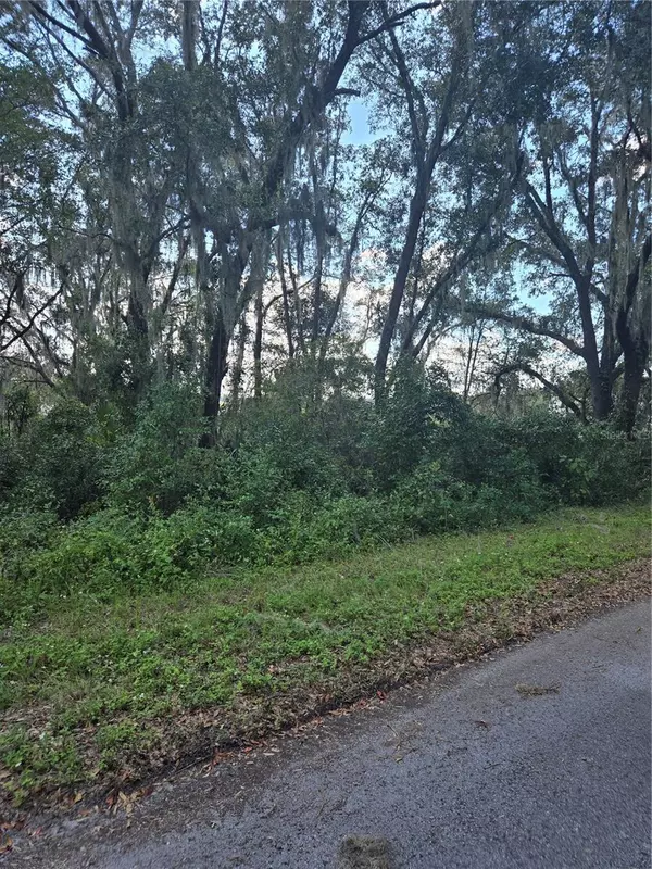 Dunnellon, FL 34431,TBD SW SHOREWOOD DR N