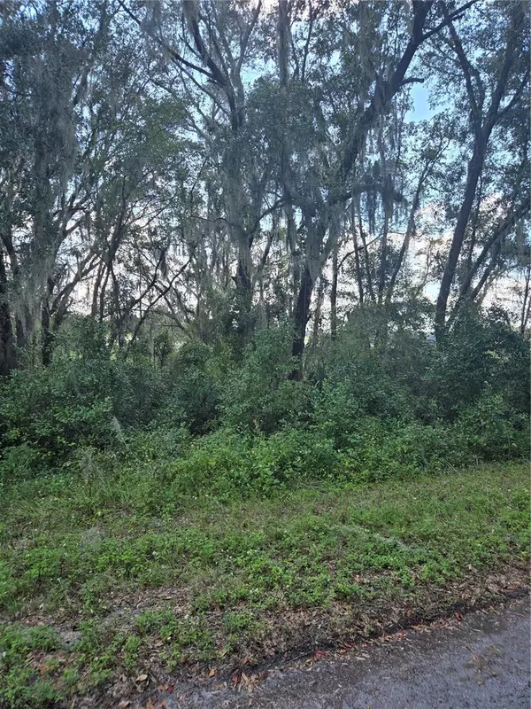 Dunnellon, FL 34431,TBD SW SHOREWOOD DR N