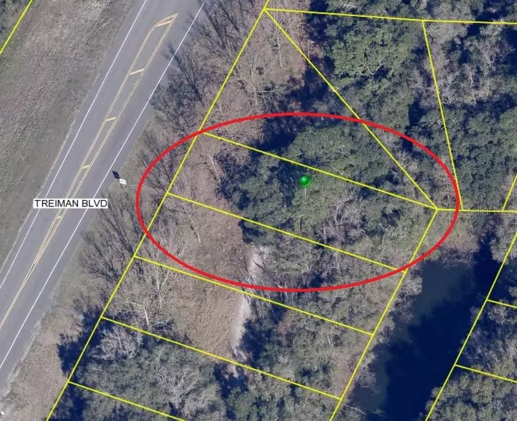 0 TREIMAN BLVD #Lots 2-6, Dade City, FL 33523