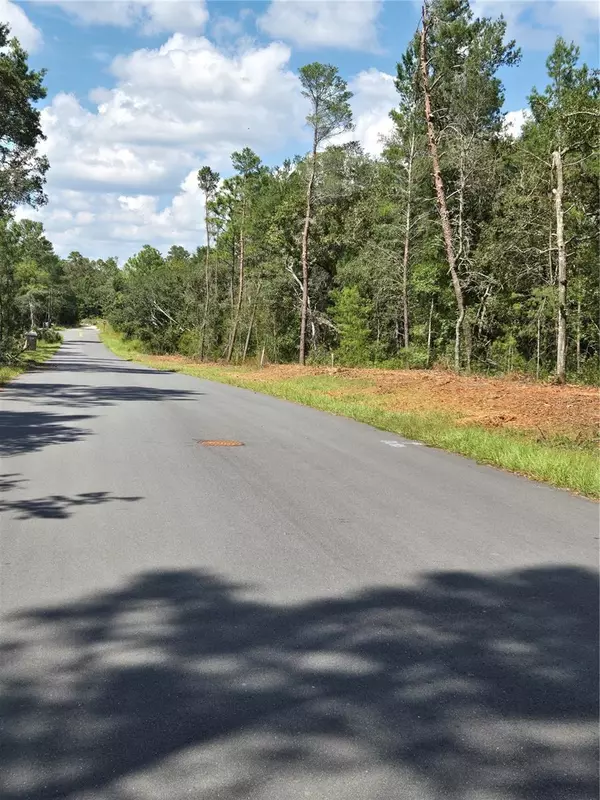 Inverness, FL 34452,2532 CLEARWOOD ST