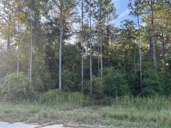 Brooksville, FL 34614,Lot 11 CANVASBACK RD