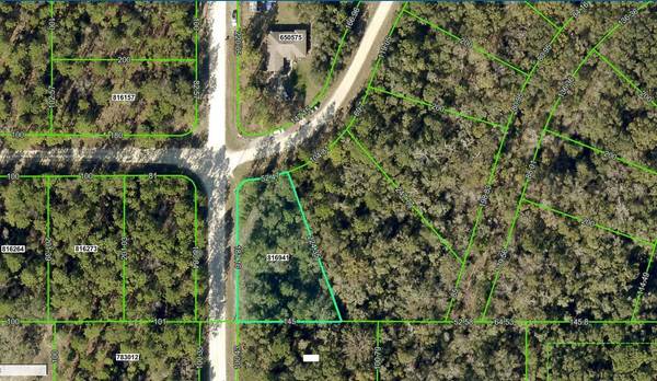 Lot 11 CANVASBACK RD, Brooksville, FL 34614