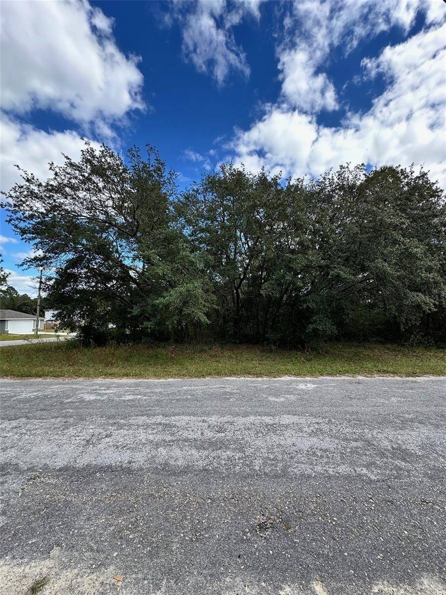 Citrus Springs, FL 34433,Address not disclosed