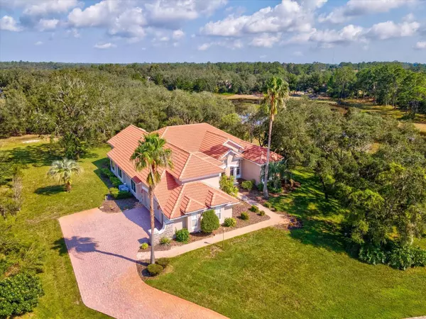 Weeki Wachee, FL 34613,10344 RAMBLE RIDGE CT