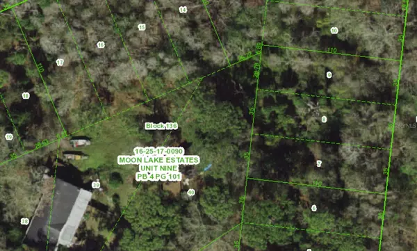 12560 PALLANZA LOOP, New Port Richey, FL 34654