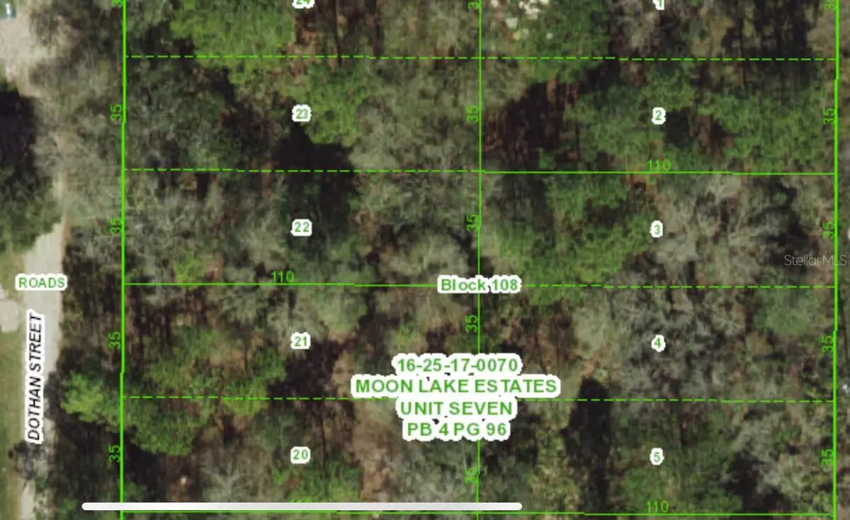 New Port Richey, FL 34654,0 DOTHAN ST