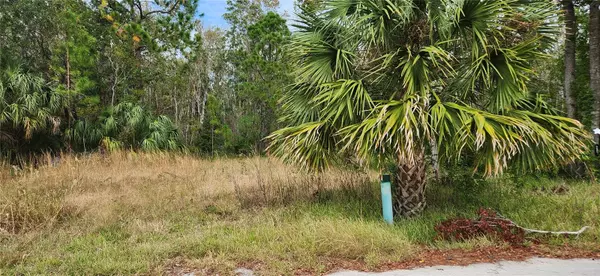 Hudson, FL 34667,LOT 285 CUTLASS DR