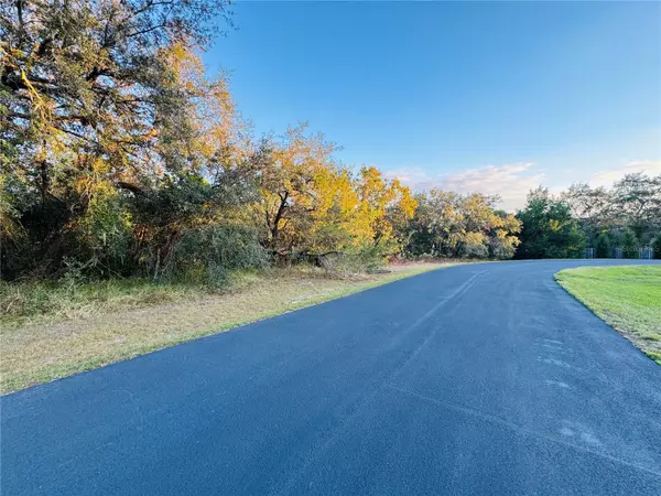 Weeki Wachee, FL 34613,LOT 13&14 FEATHER RIDGE DR