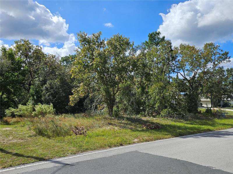 89 CYPRESS BLVD E, Homosassa, FL 34446