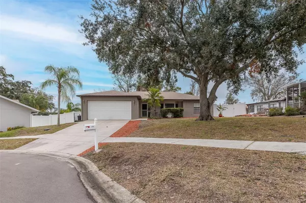 8708 WOODLAWN CT, Port Richey, FL 34668