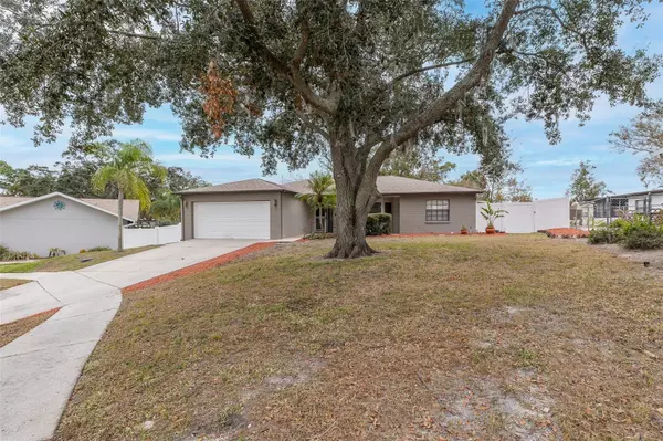 Port Richey, FL 34668,8708 WOODLAWN CT