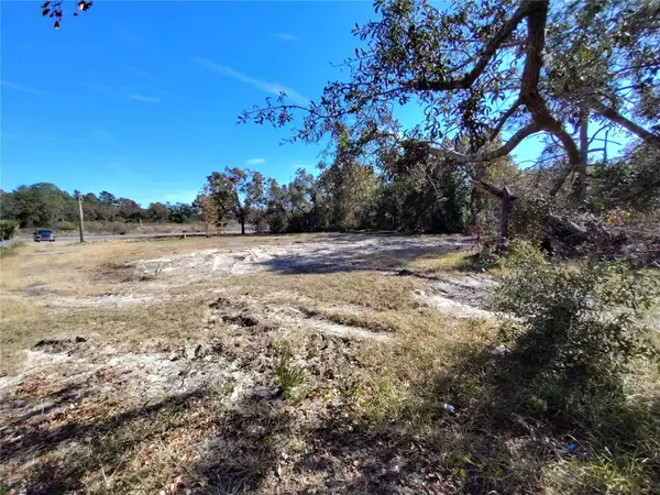 Hudson, FL 34667,15125 LITTLE RD