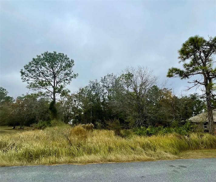 0 GOLDEN WARBLER RD, Brooksville, FL 34613