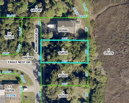 5082 MAPLEWOOD DR, Hernando Beach, FL 34607