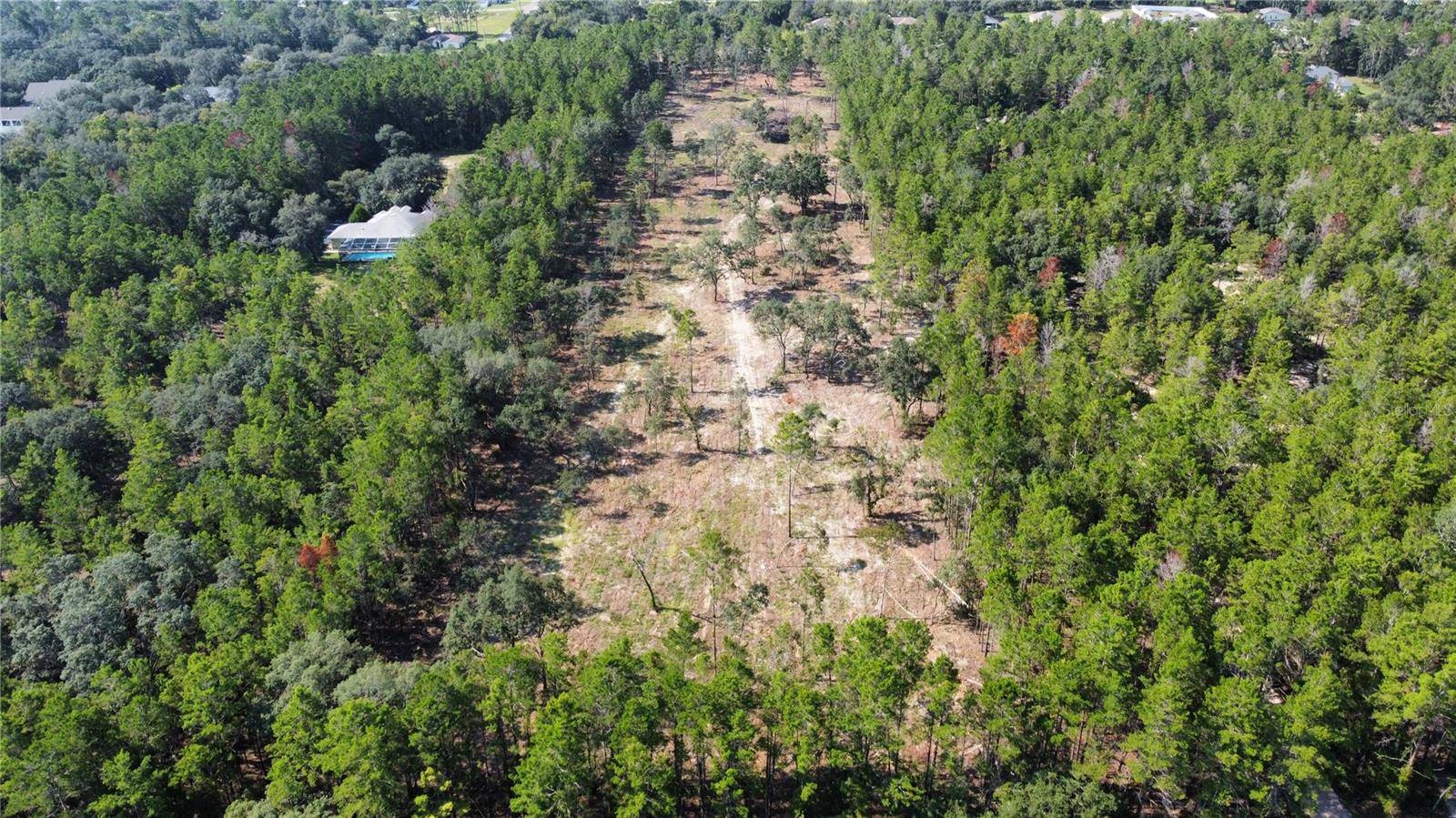 Weeki Wachee, FL 34614,13331 HAVEN TRL