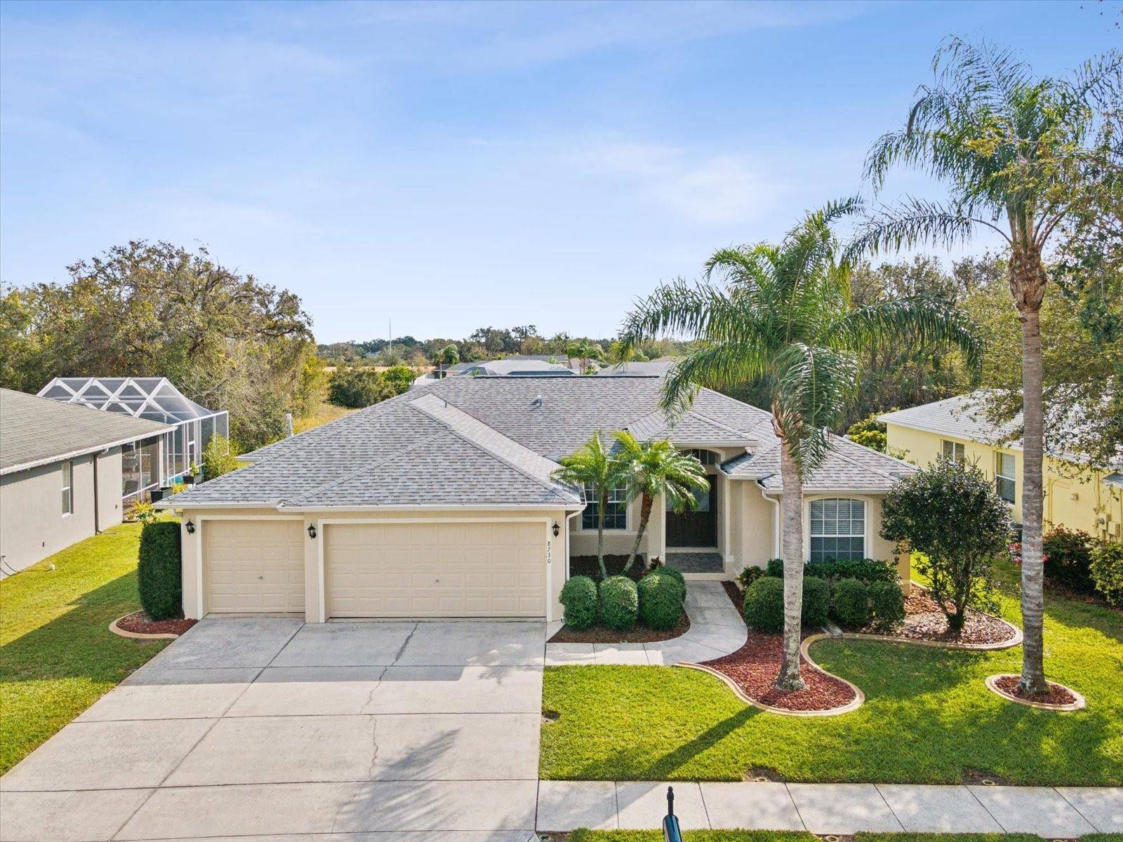 8730 TORCHWOOD DR, Trinity, FL 34655