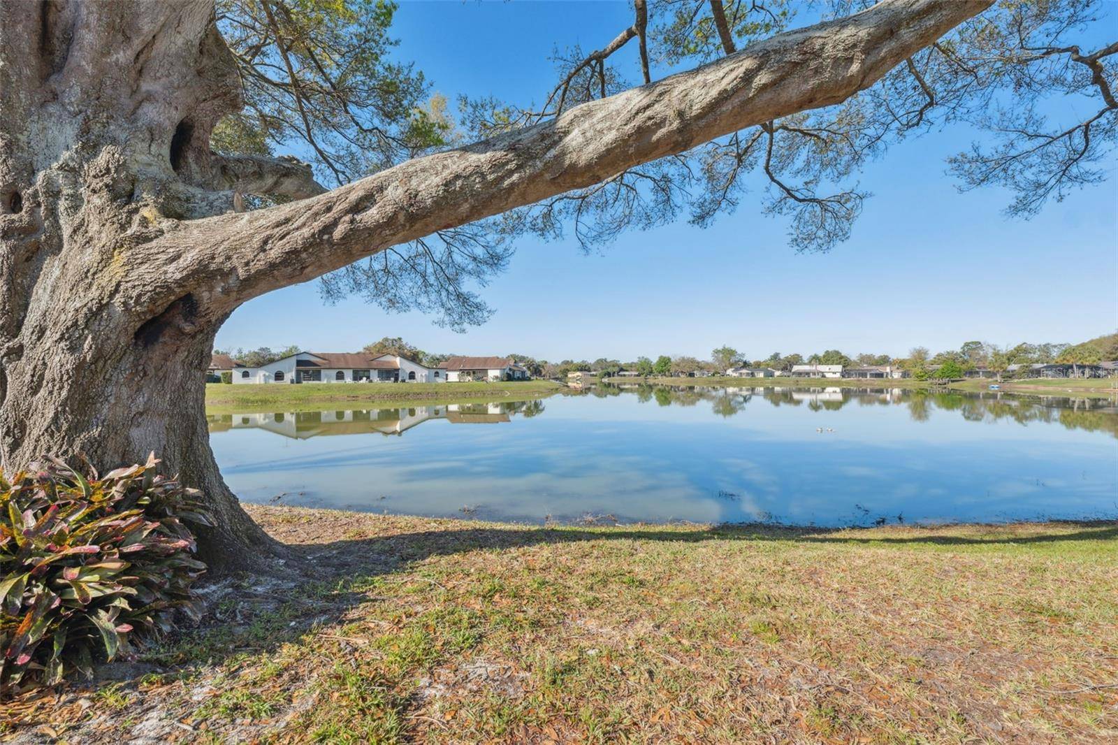 Weeki Wachee, FL 34613,7414 HEATHER WALK DR