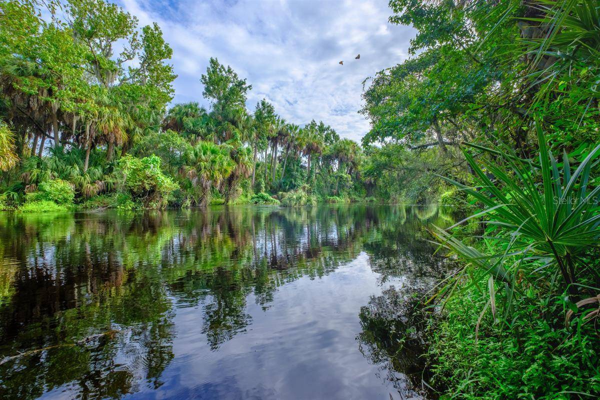 Parrish, FL 34219,10131 ZENNIA LN