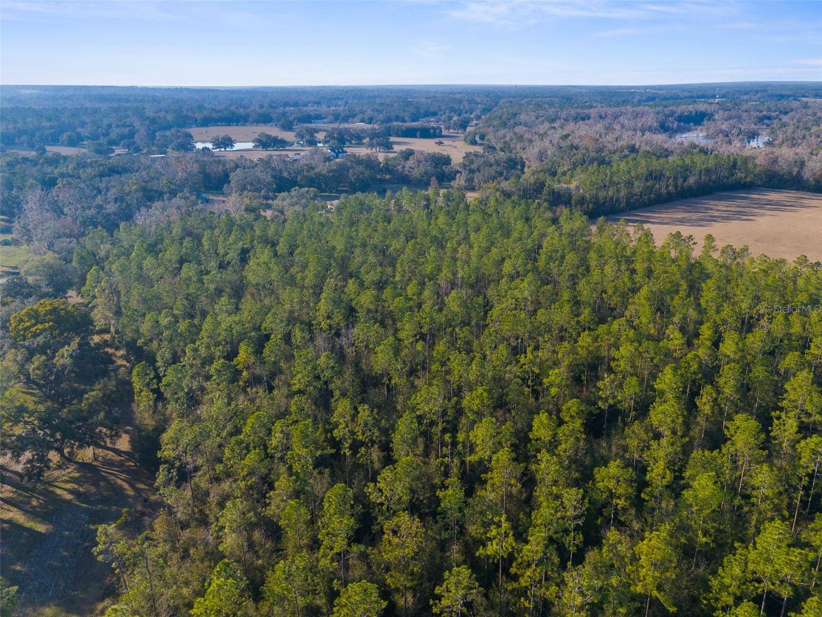 Brooksville, FL 34601,0 SPRING LAKE HWY