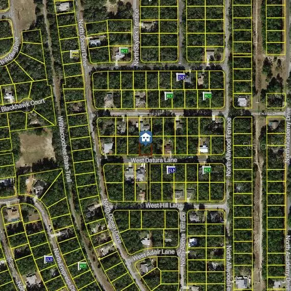 Citrus Springs, FL 34434,1645 W DATURA LN
