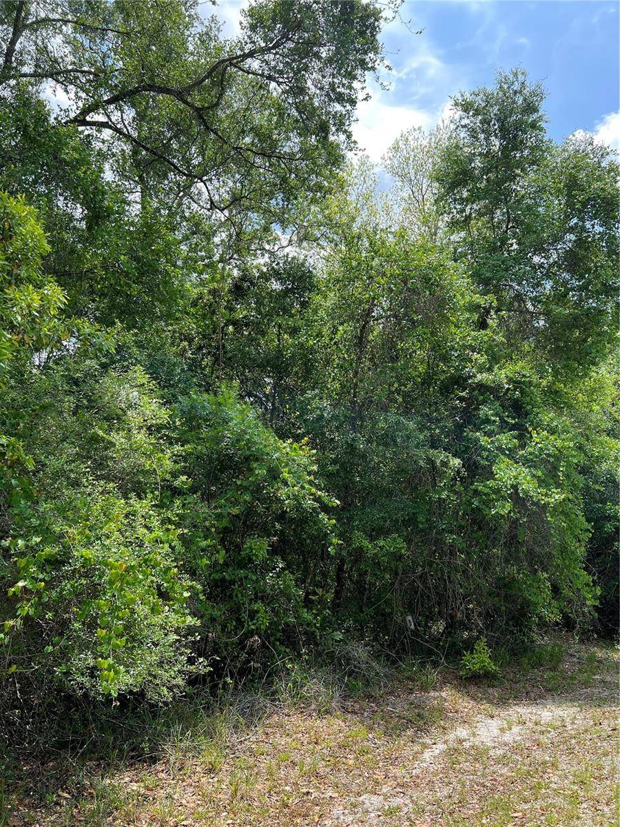 Chiefland, FL 32626,0 NW 70TH CIR