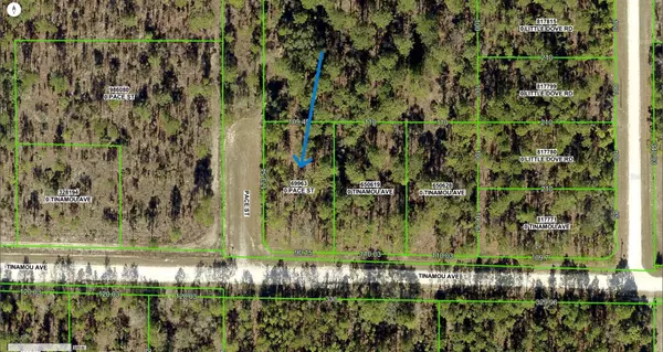 Brooksville, FL 34614,0 PACE ST