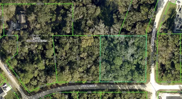 0 RICEBIRD (LOT 10 & 11) AVE, Brooksville, FL 34614