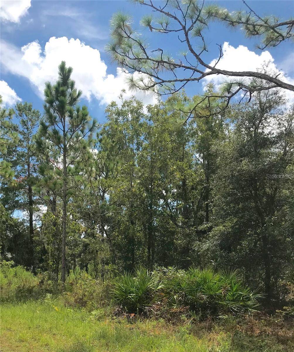 Brooksville, FL 34614,LOT 15 SLEEPY HOLW