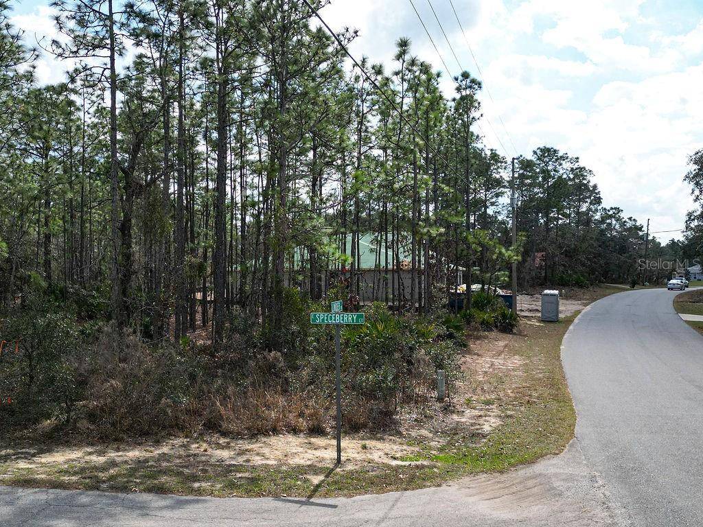 Homosassa, FL 34446,3 SPECEBERRY CT S