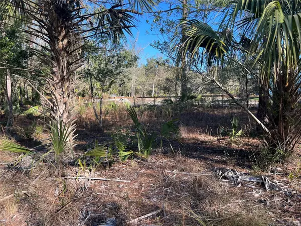 Crystal River, FL 34428,8108 N SHANNON AVE