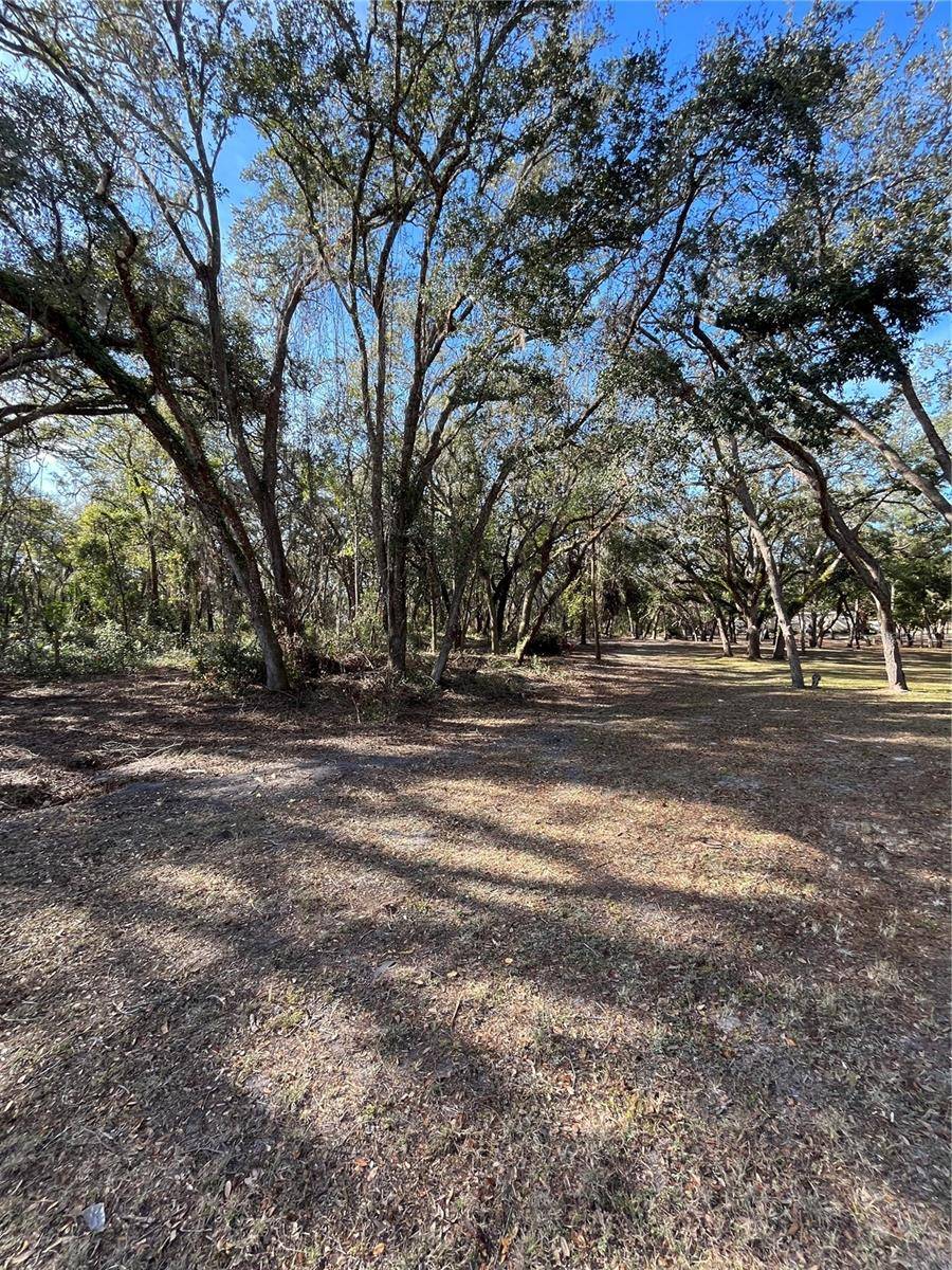 Spring Hill, FL 34610,16347 ALBRIGHT RD