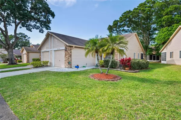 New Port Richey, FL 34653,6425 THICKET TRL