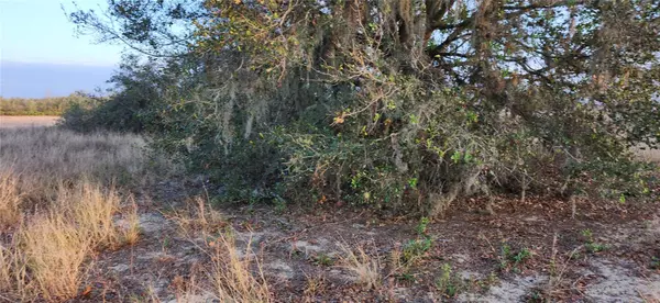 Frostproof, FL 33843,US US-27