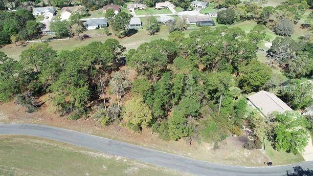 Spring Hill, FL 34608,5339 KEYSVILLE AVE