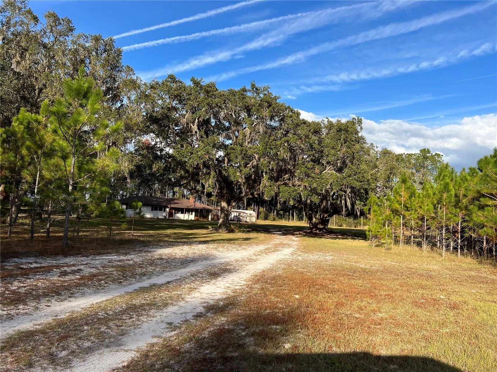 Old Town, FL 32680,7393 NE 353RD HWY