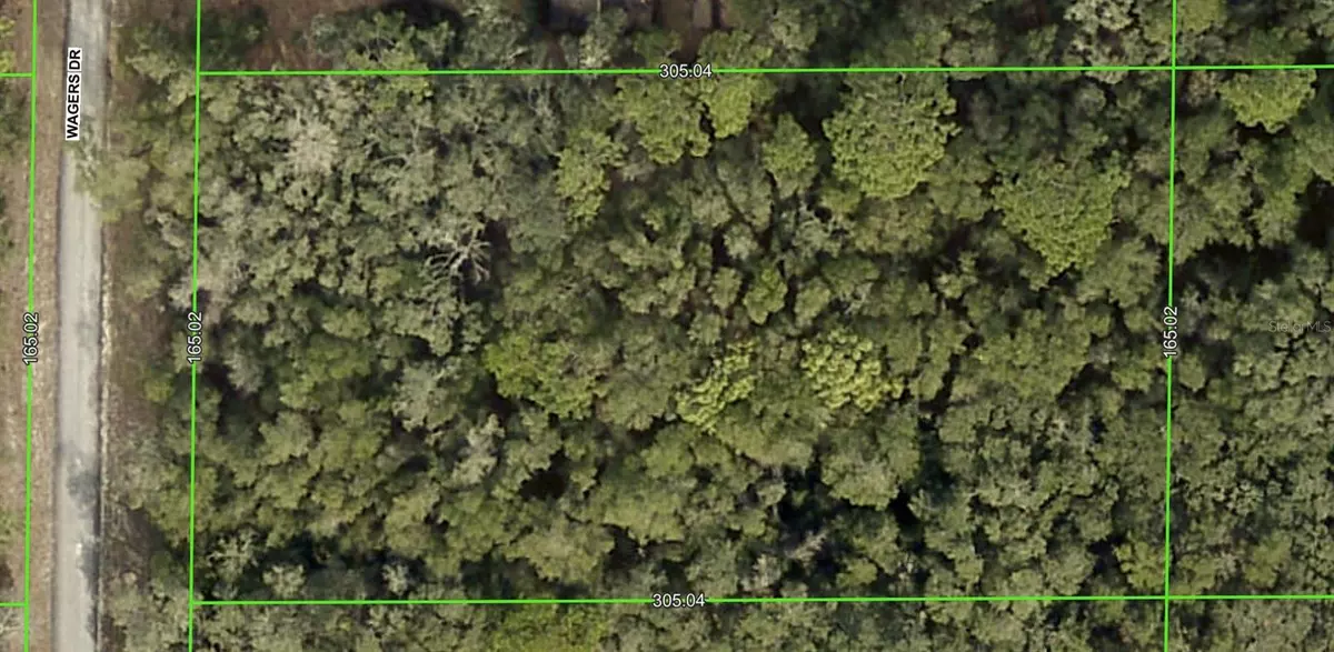 Webster, FL 33597,7354 WAGERS DR