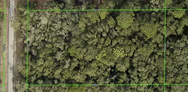 7354 WAGERS DR, Webster, FL 33597