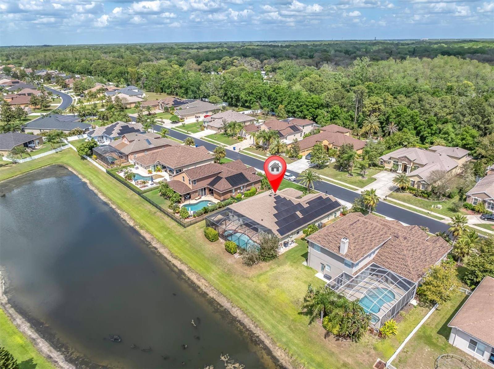 New Port Richey, FL 34655,1709 NODDING THISTLE DR