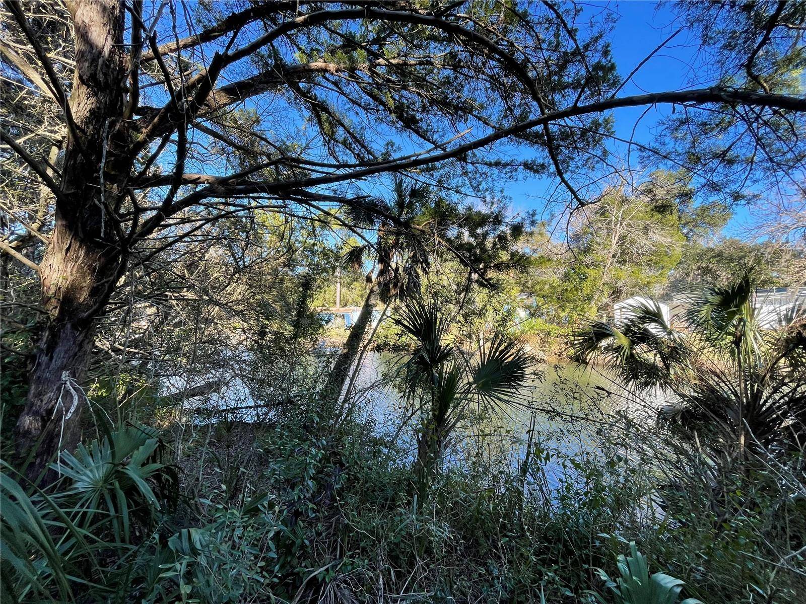 Weeki Wachee, FL 34607,0 RIVER POINT DR