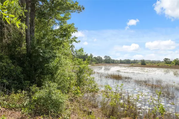 Weeki Wachee, FL 34613,8343 NORMANDY DR