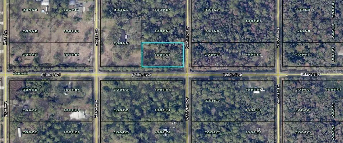 Hastings, FL 32145,10575 WEATHERBY AVE