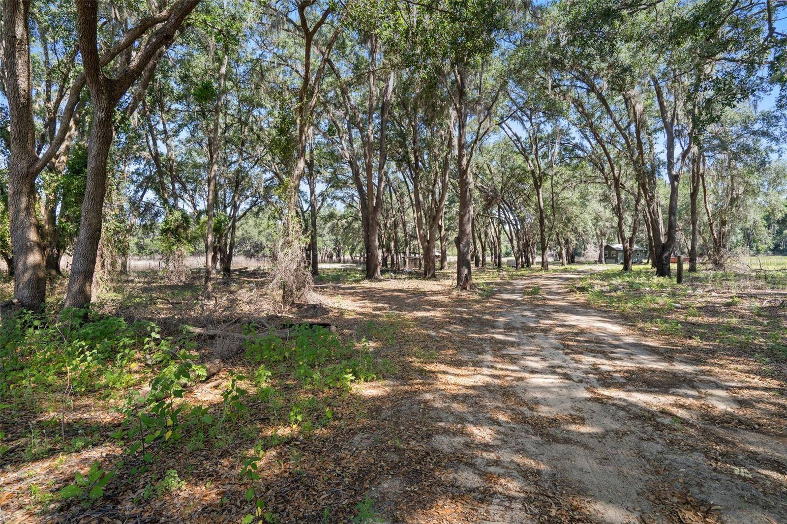 Brooksville, FL 34601,25399 MONDON HILL RD