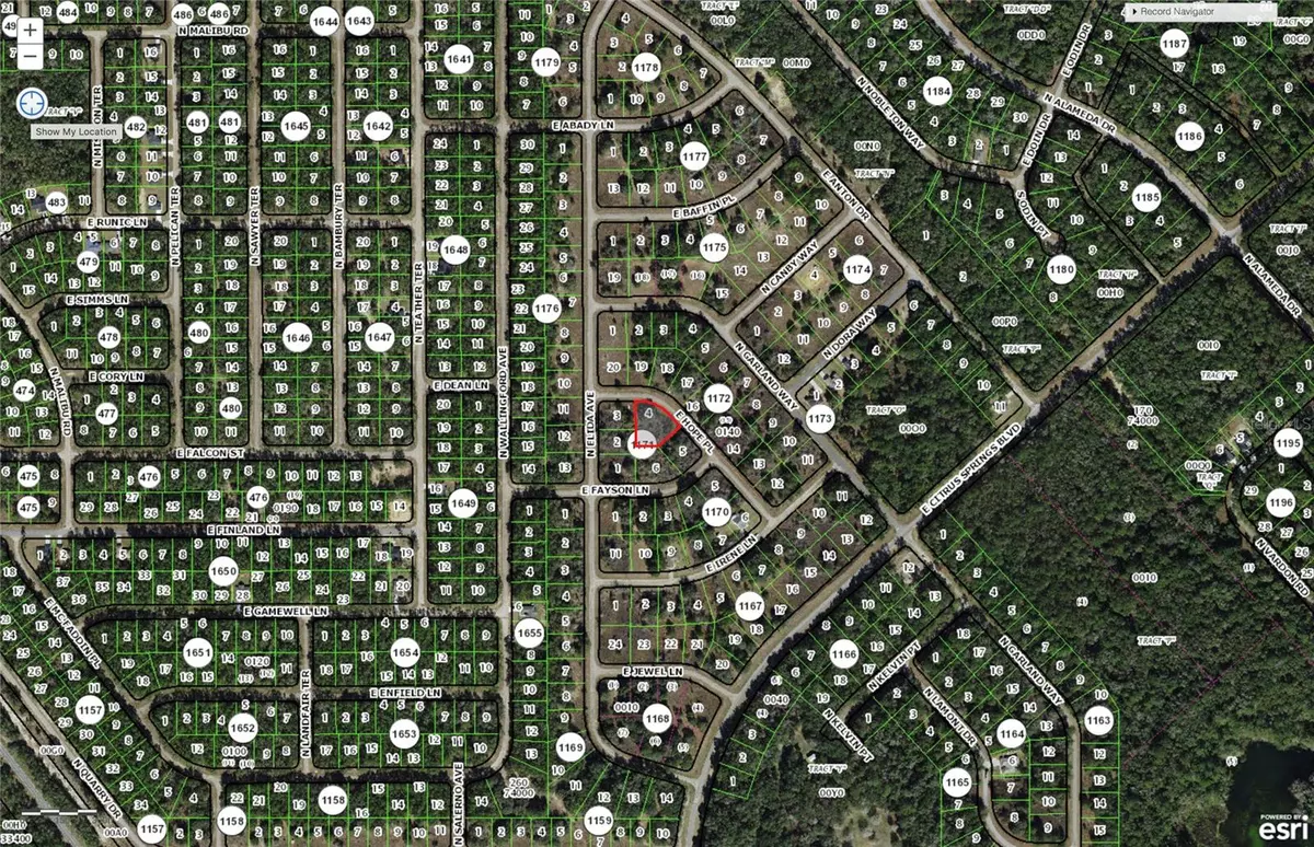 Citrus Springs, FL 34433,600 E HOPE PL